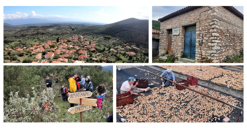 Dialogue and Action for the Future.png